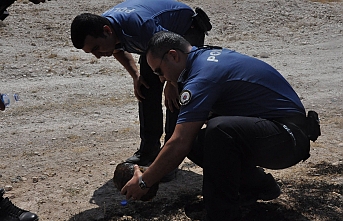 Kaplumbağayı Yanmaktan Polisler Kurtardı