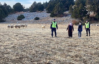 Kayıp Koyunları Jandarma Drone İle Buldu