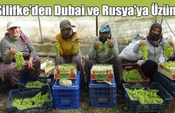 Silifke’den Dubai ve Rusya’ya Üzüm