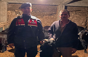 Karaman’da Kayıp Olan Keçileri Jandarma Buldu
